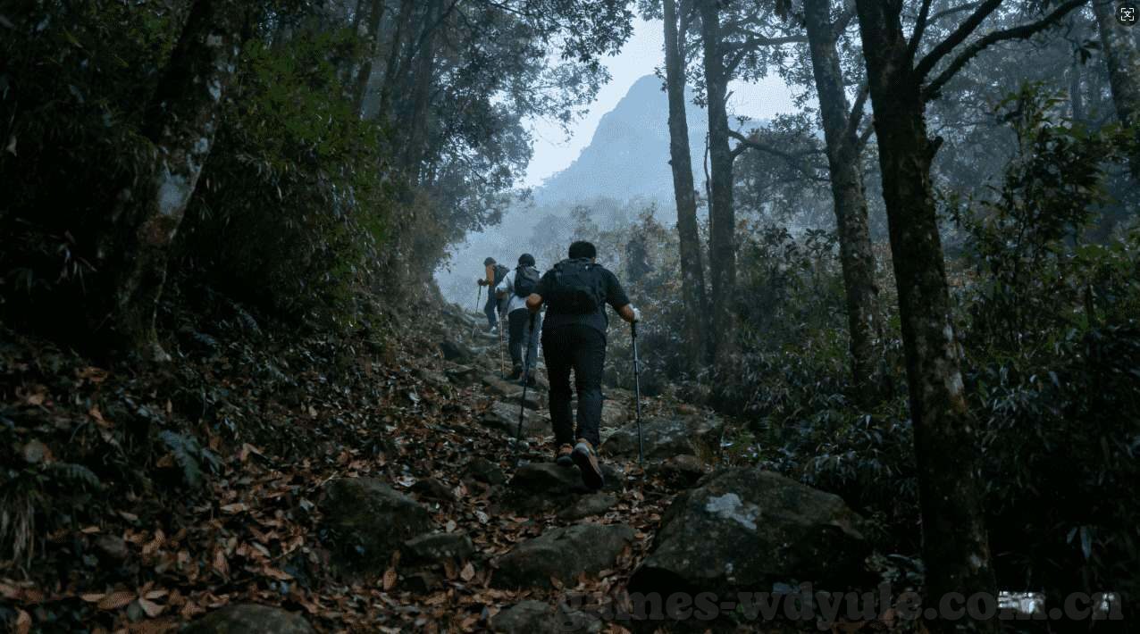 主播赢三张炸金花-主播赢三张炸金花，策略、运气与娱乐的交织